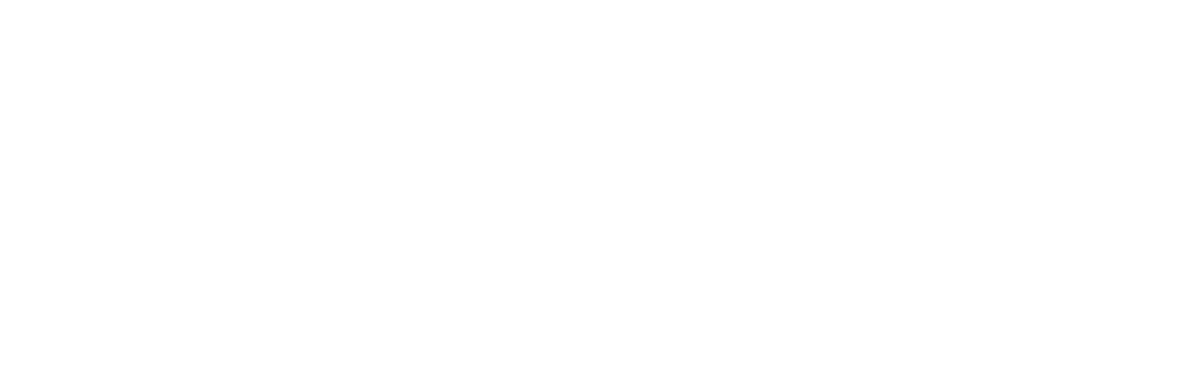 V4 Ames&Co